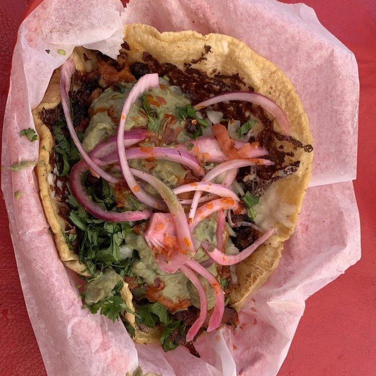 Birria style taco with onion and cilantro at Chula Tacos